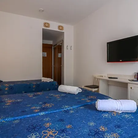 Adriaco グラード